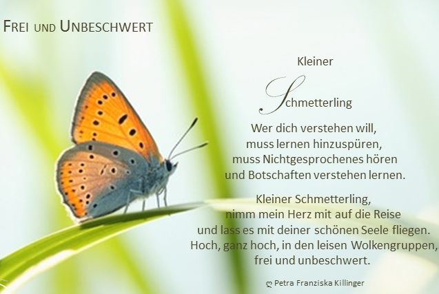 Get Leben ist nicht genug sagte der schmetterling Free